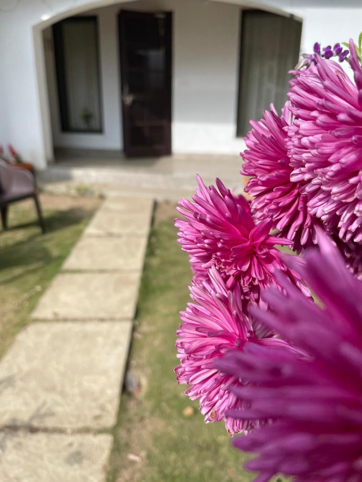 Kafal Tree Home Stay - Pet Friendly Bhowali Eksteriør bilde